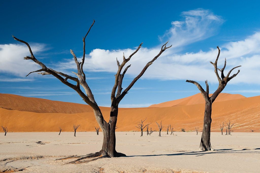 Full Day Sossusvlei Tour