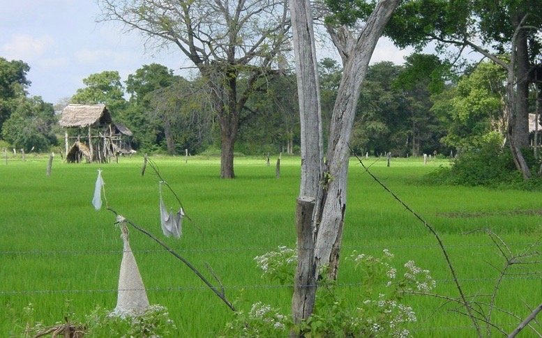 Thalkote Wewa Trail