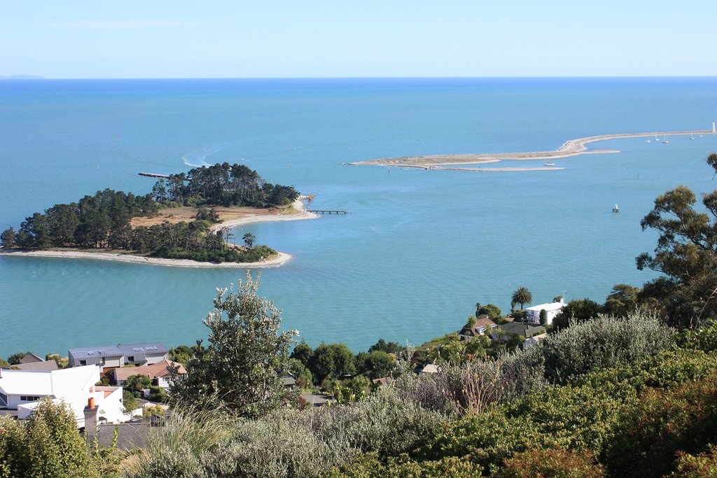 Nelson