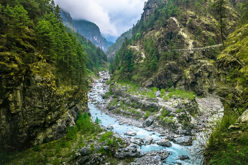Trek through a forested trail along the river