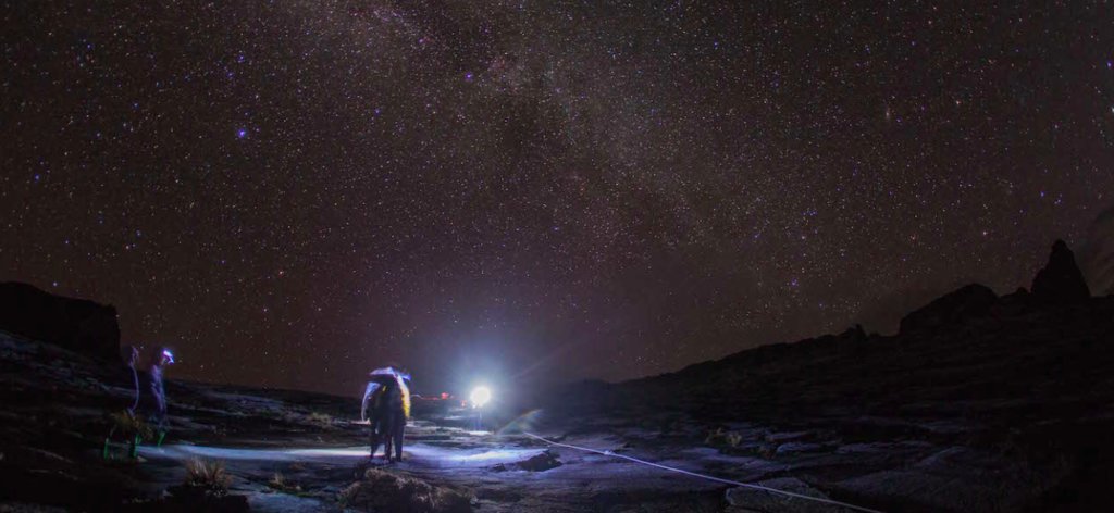 A night safari under the starry Borneo sky