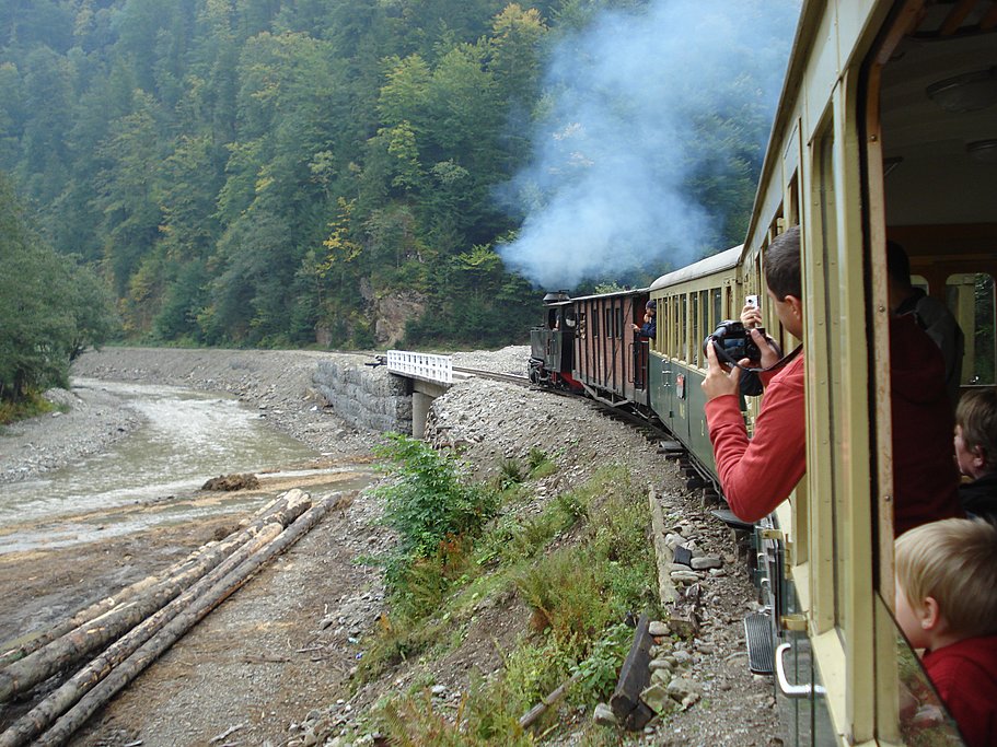 Mocanita mountain train