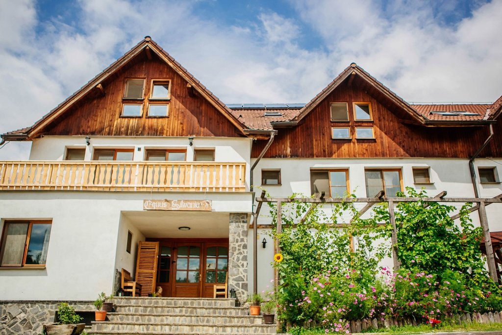 Accommodation in Sinca Noua
