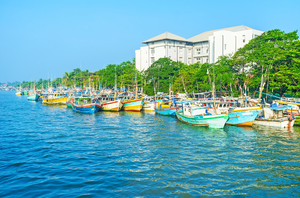 Negombo Lagoon