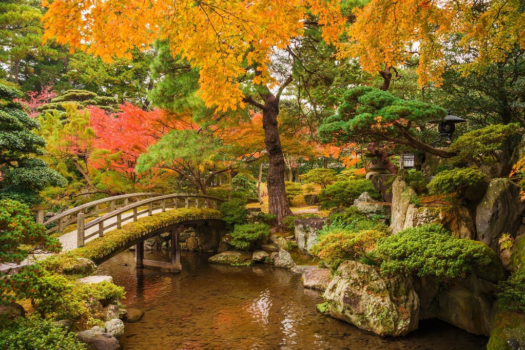 Kyoto's Imperial Palace Gardens
