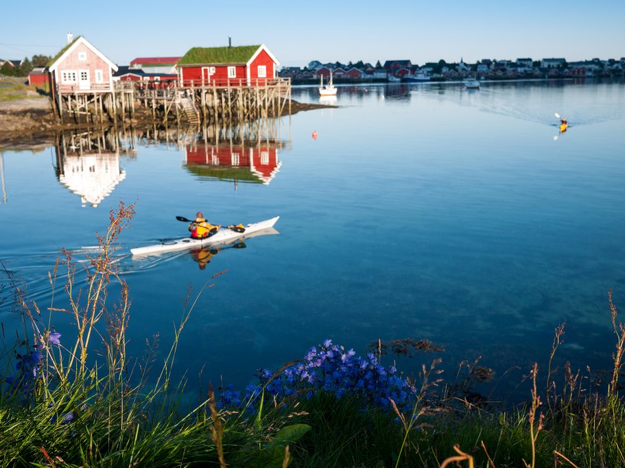 Rent a kayak and look for rare bird species.