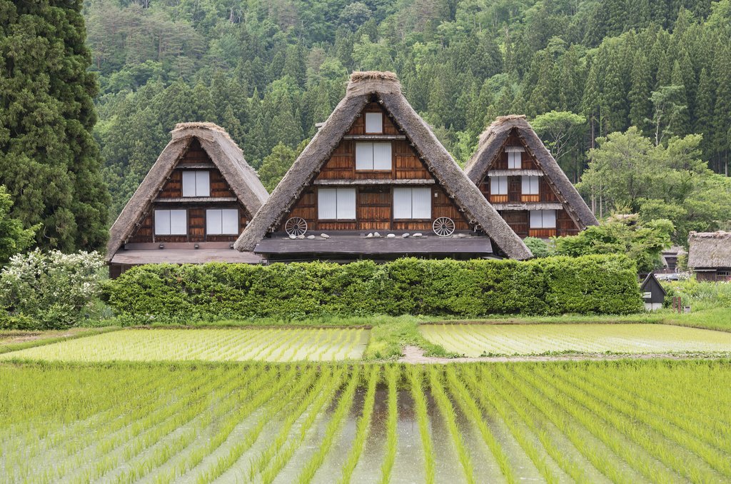 Shirakawa