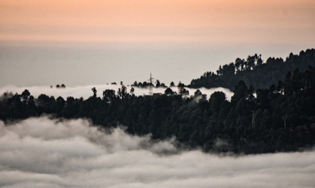 Hike in San Jose's Cloud Forest