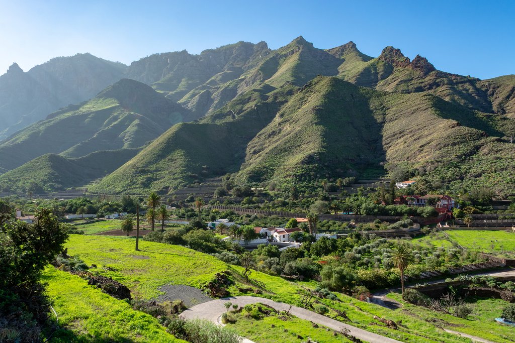 Farmland in the Valley of Agaete