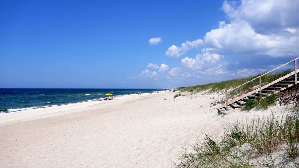 Curonian Spit beach