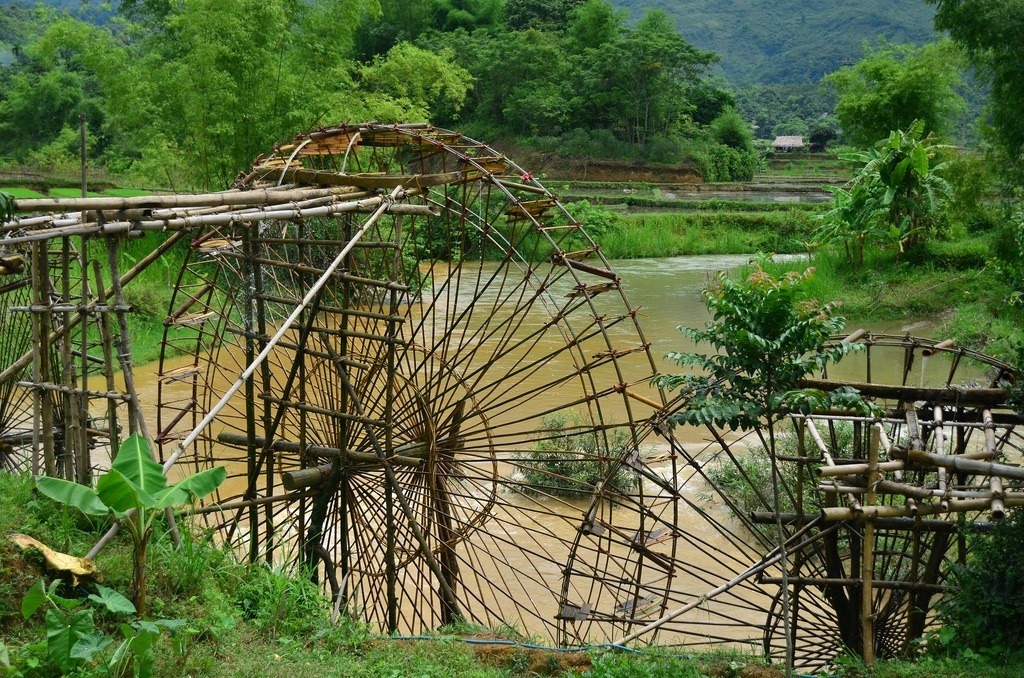 Mai Chau