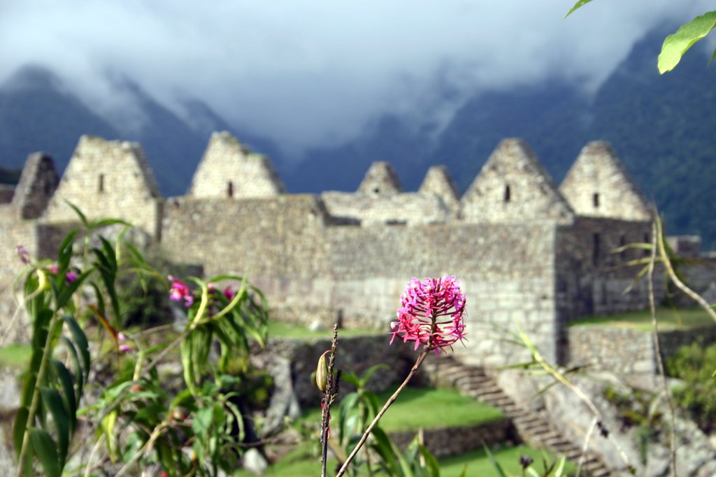 The various stone buildings that makeup Machu Picchu were built for a multitude of living and storage uses