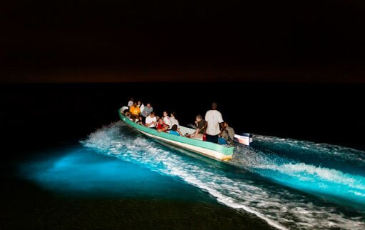 Lighting the way