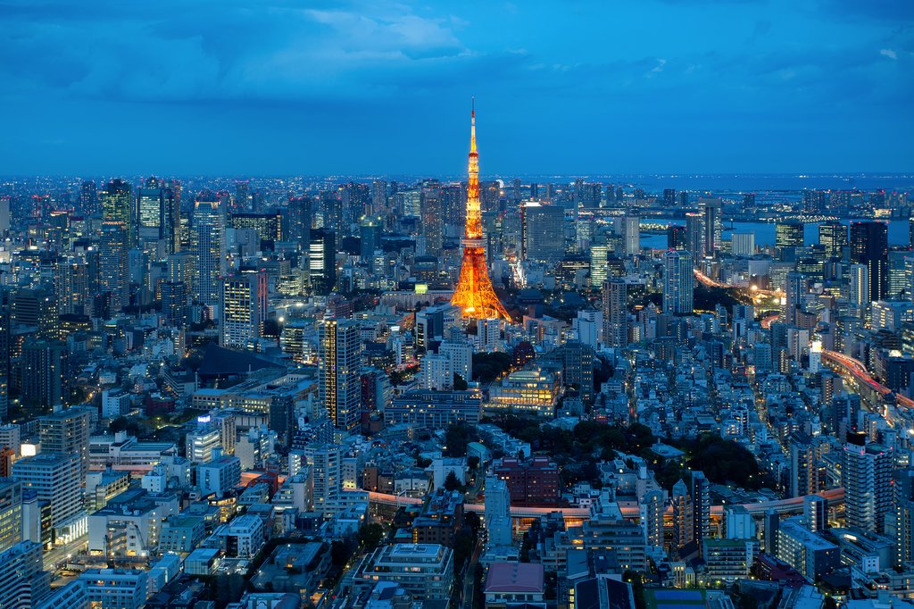 Aerial View of Tokyo