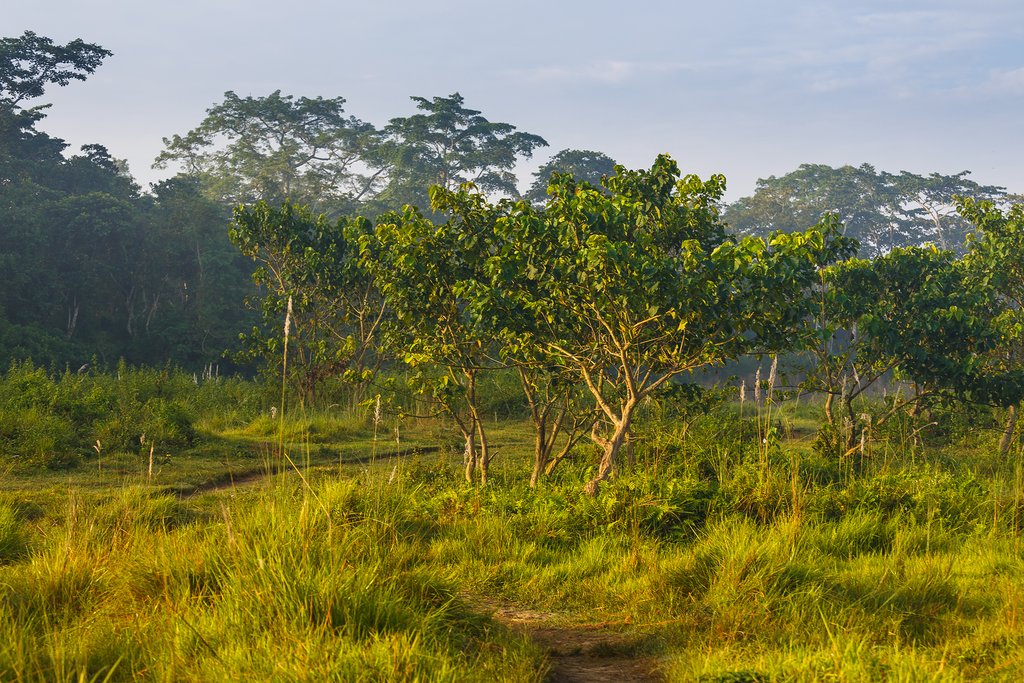 Chitwan National Park