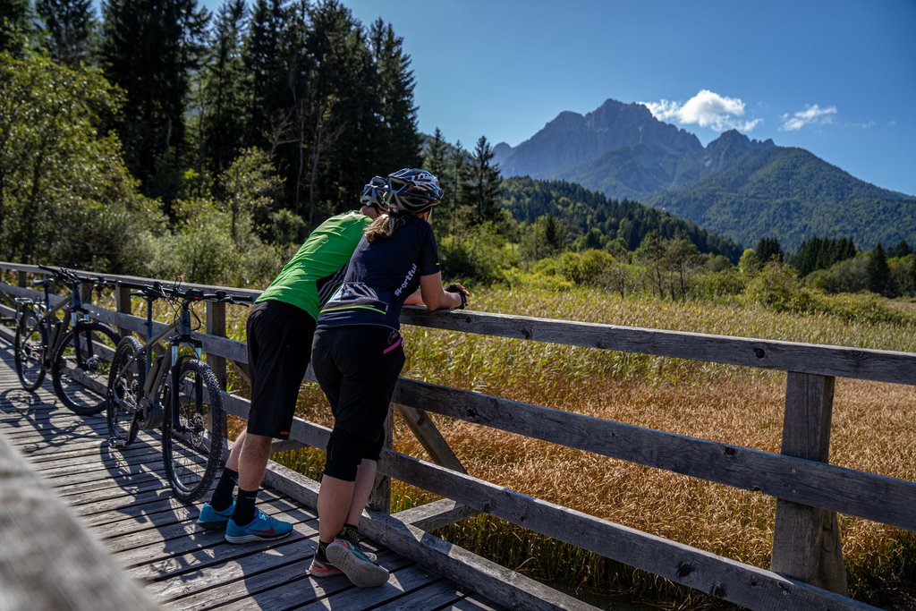 Overlooking the Zelenci  Nature Reserve in Kranjska Gora.