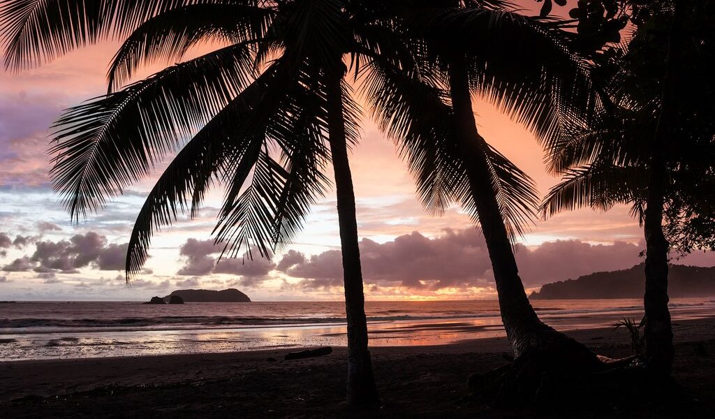 Tropical Sunset