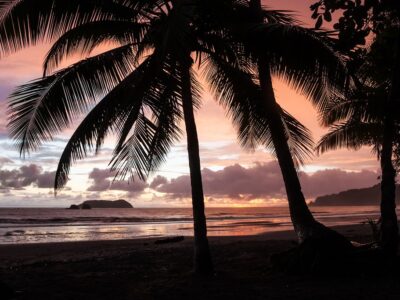 Tropical Sunset
