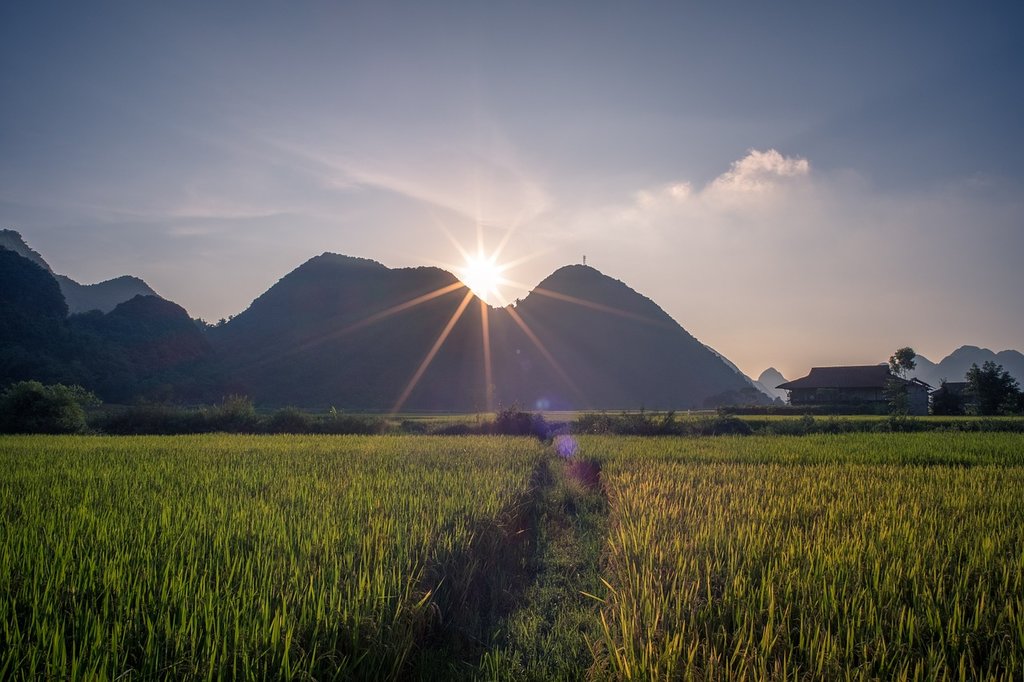 Vietnam's rice paddies make for stunning country scenery
