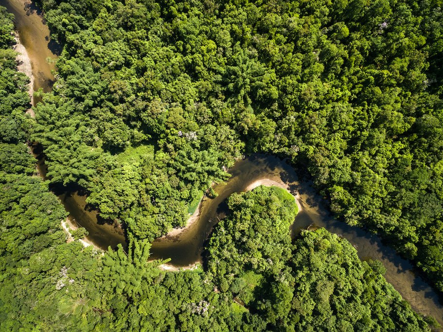 From the air, the Amazon river can be clearly seen winding its way through the lush forest