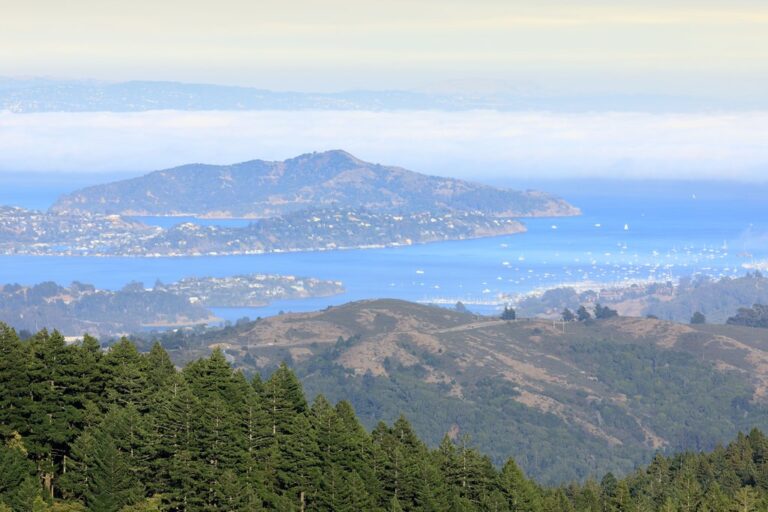 Mt Tam Stinson Beach Muir Woods Day Trip From San Francisco