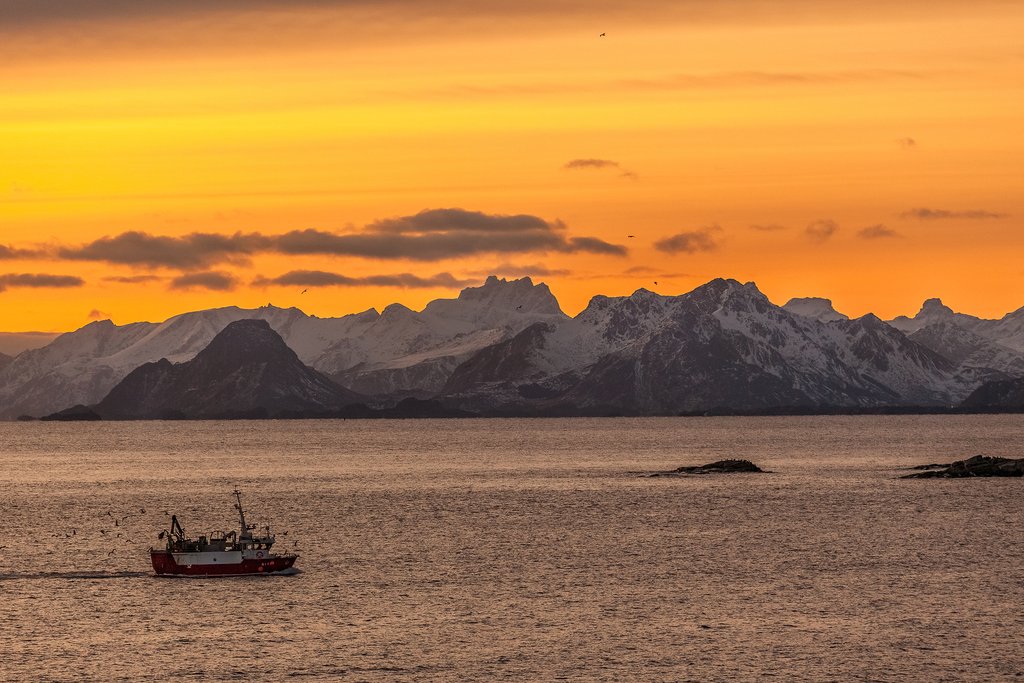 Goodbye, Norway!