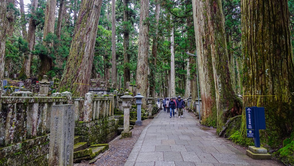 Towering cedars line the walk through Mount Koya's Okuno-in Cemetery.