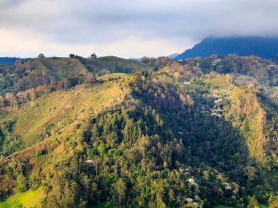 jungle in colombian green mountains colombia latin america