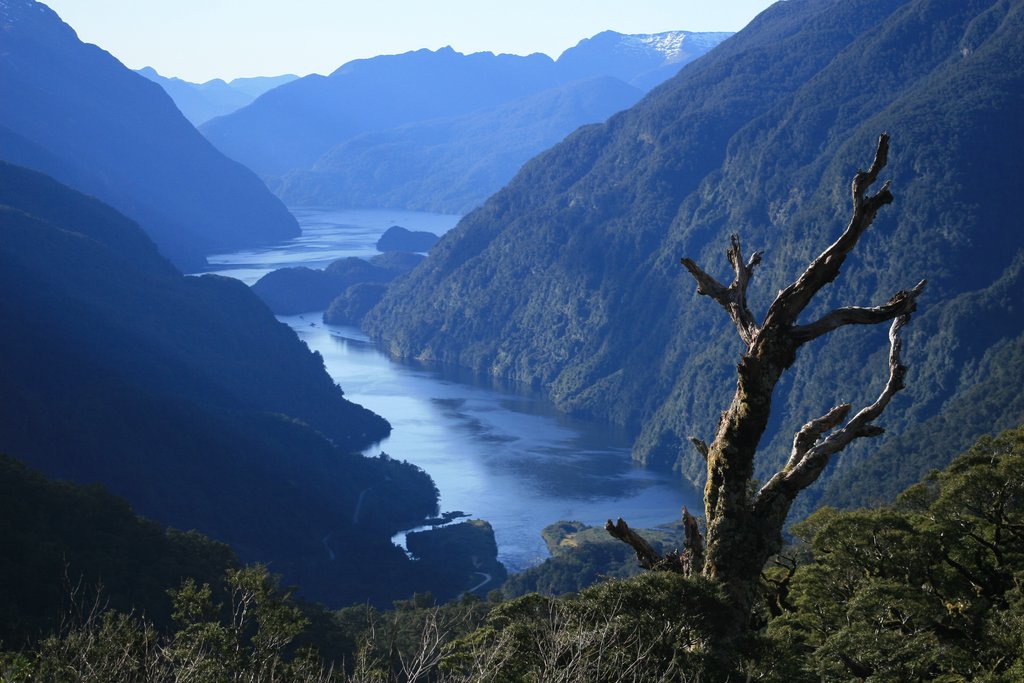 Doubtful Sound Wilderness Cruise from Queenstown