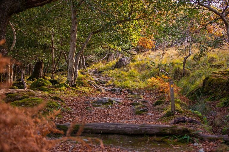 Ireland In September Travel Tips Weather And More