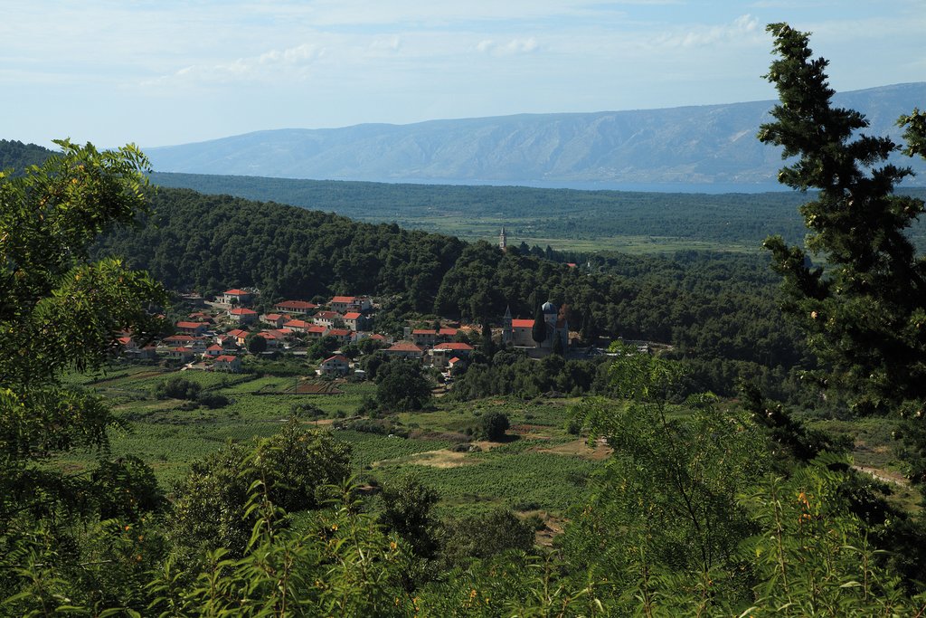 Croatia - Hvar - Vineyard-laden hills around the village of Svirče