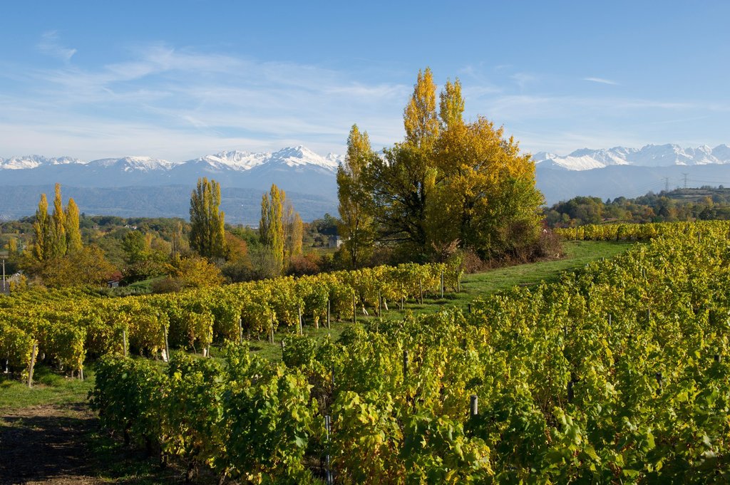 Charming Geneva Winelands