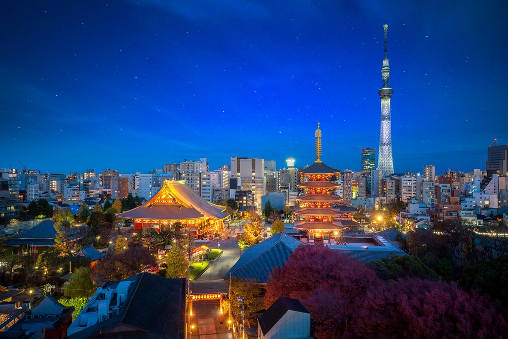 View Across the Sensoji Temple, Tokyo