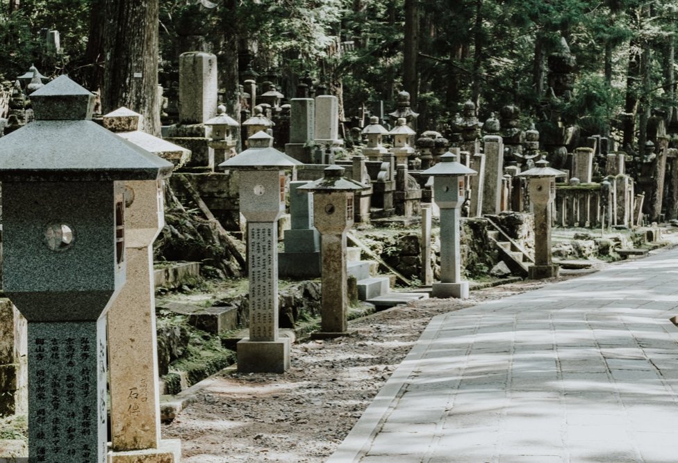 Explore the Sacred Forest of Mount Kōya (Kōyasan)