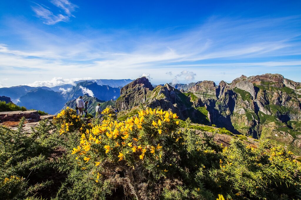 A lookout spot in Madeira's Chão dos louros Park