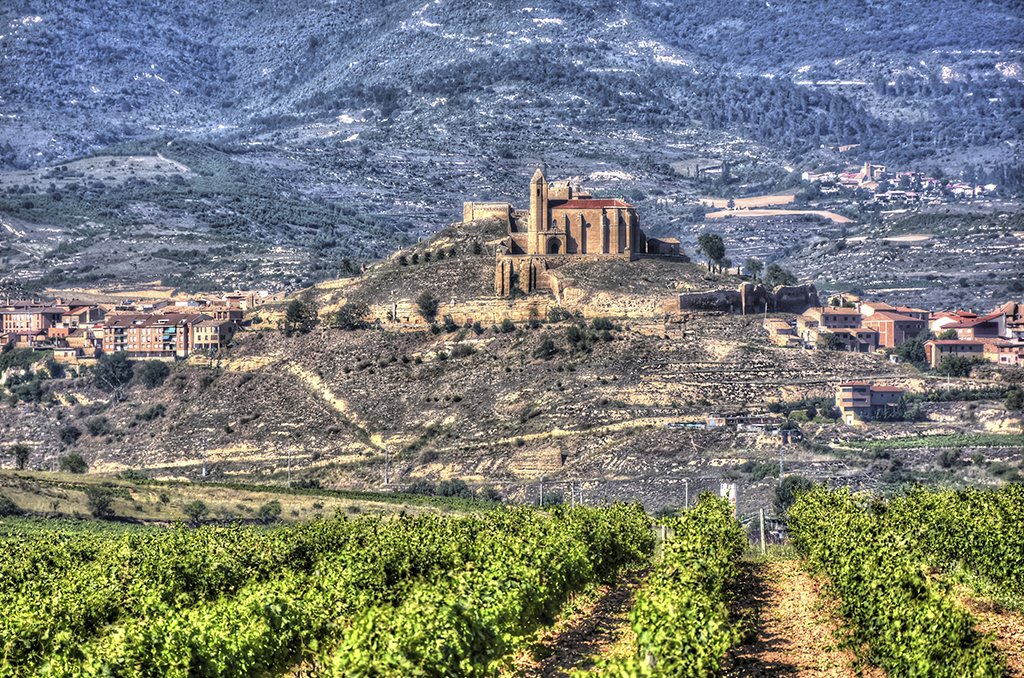 Century-old vineyards