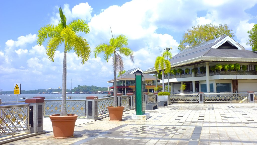 Palm trees, seafront, bund in Brunei.