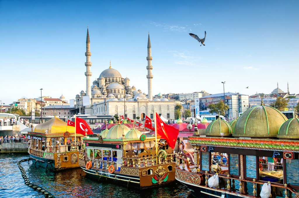 See the Suleymaniye Mosque as you travel down the Bosphorus