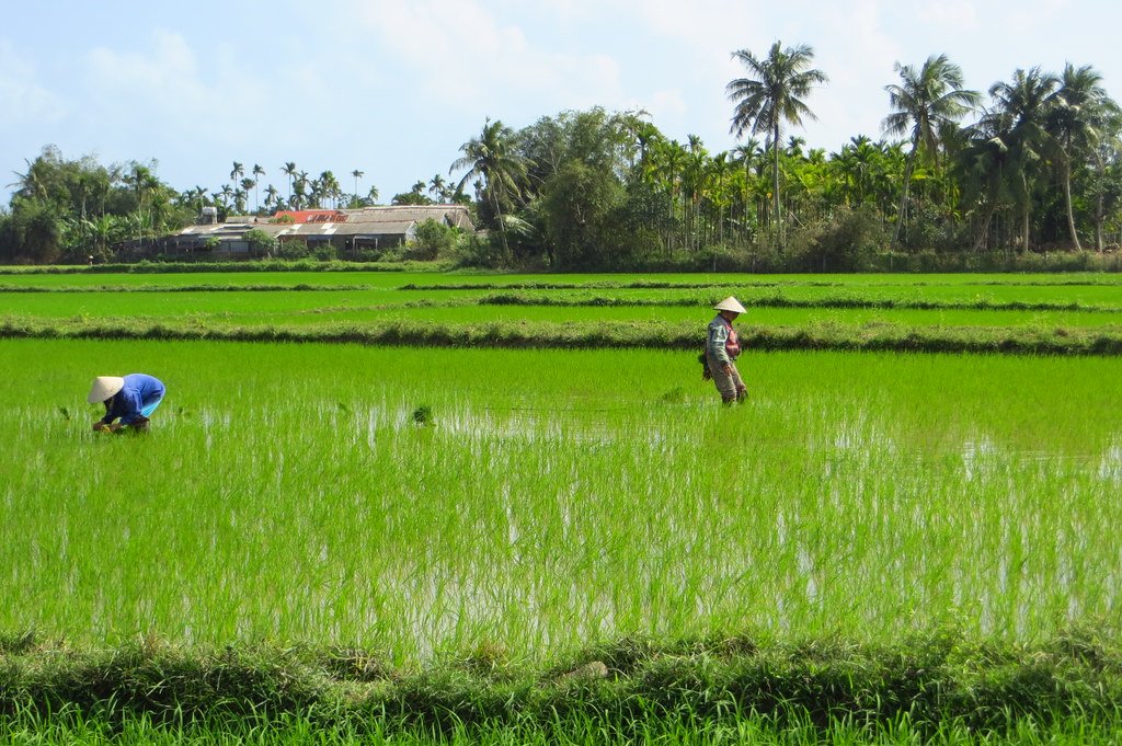 Travel to the outskirts of Hội An