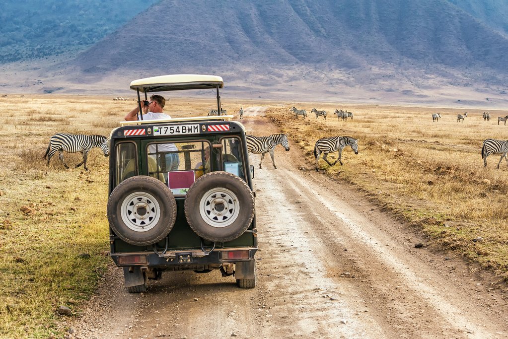 Safari through the Ngorongoro Crater