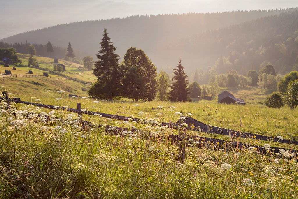 The Bucovina countryside