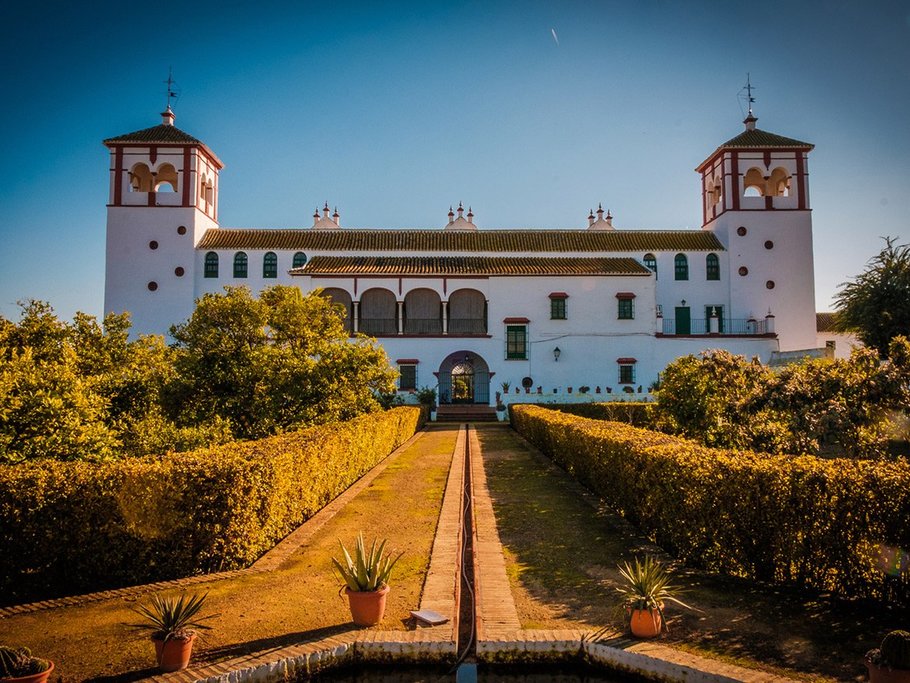 Traditional olive-oil estate