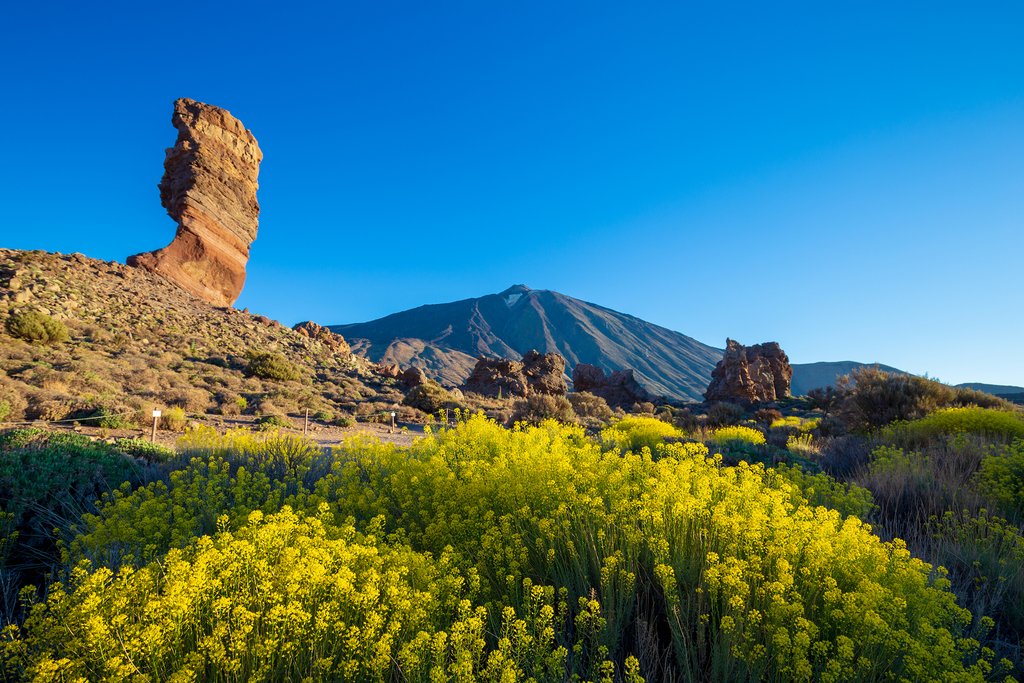 Rugged Views of Teide in Tenerife