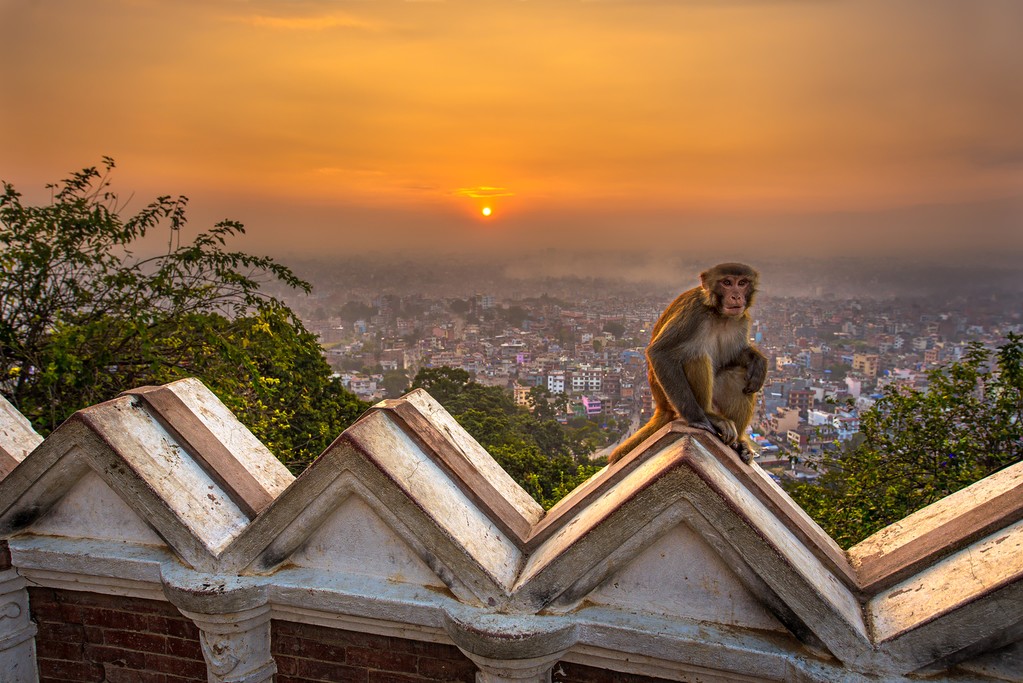 A local resident in the capital city