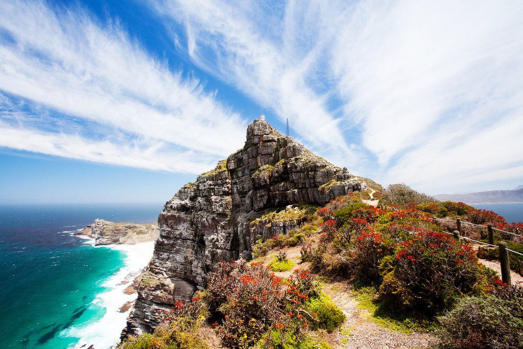 Cape Point from within the park