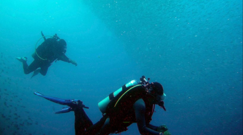 Scuba divers off the coast of Pescador Island