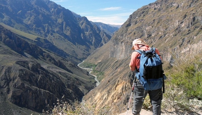 Looking into the canyon