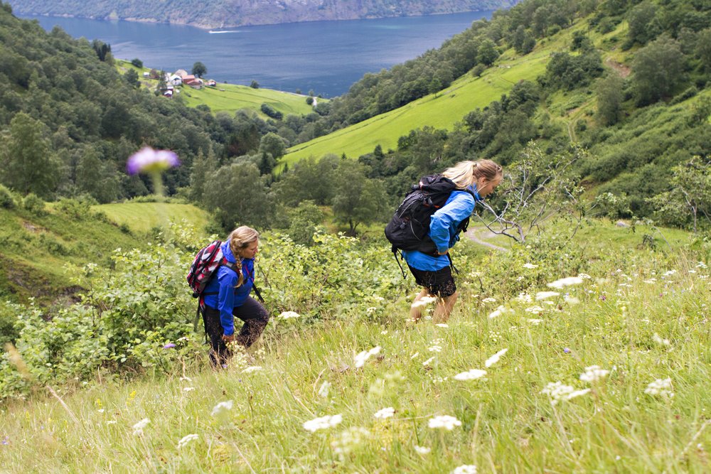 Photo from FjordSafari