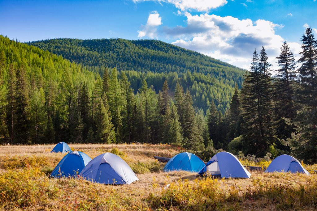 Camping in Altai National Park