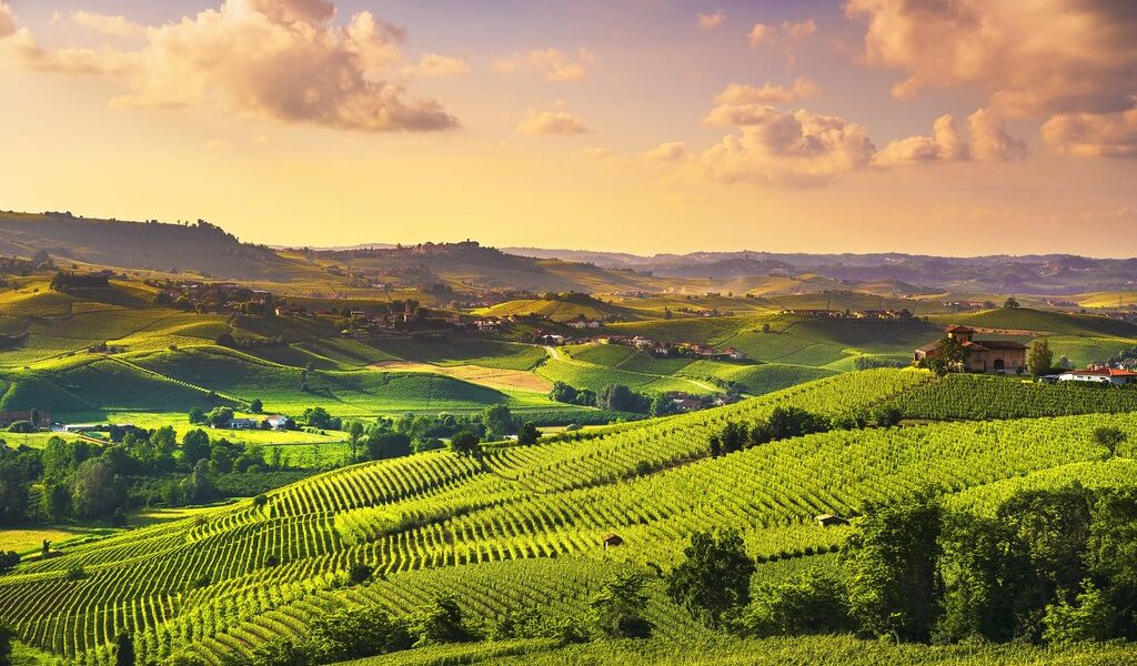 big-87afe7cca77ec1a45a0ca245cffd171d